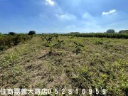 朴子新吉庄邊農地物件照片