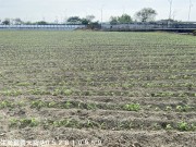 嘉義市大將房屋仲介公司--提供嘉義縣市房屋,嘉義買屋,嘉義買屋,嘉義賣屋,嘉義不動產,嘉義房屋仲介等相關服務 (104報紙房屋網 買屋 賣屋 租屋 委租 委賣 平台,專業房屋仲介個人網站) 六腳正19線漂亮農地